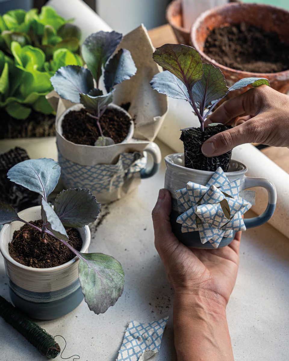 Rubans et etoiles en papier d'herbe, entièrement recyclé et éco-durable